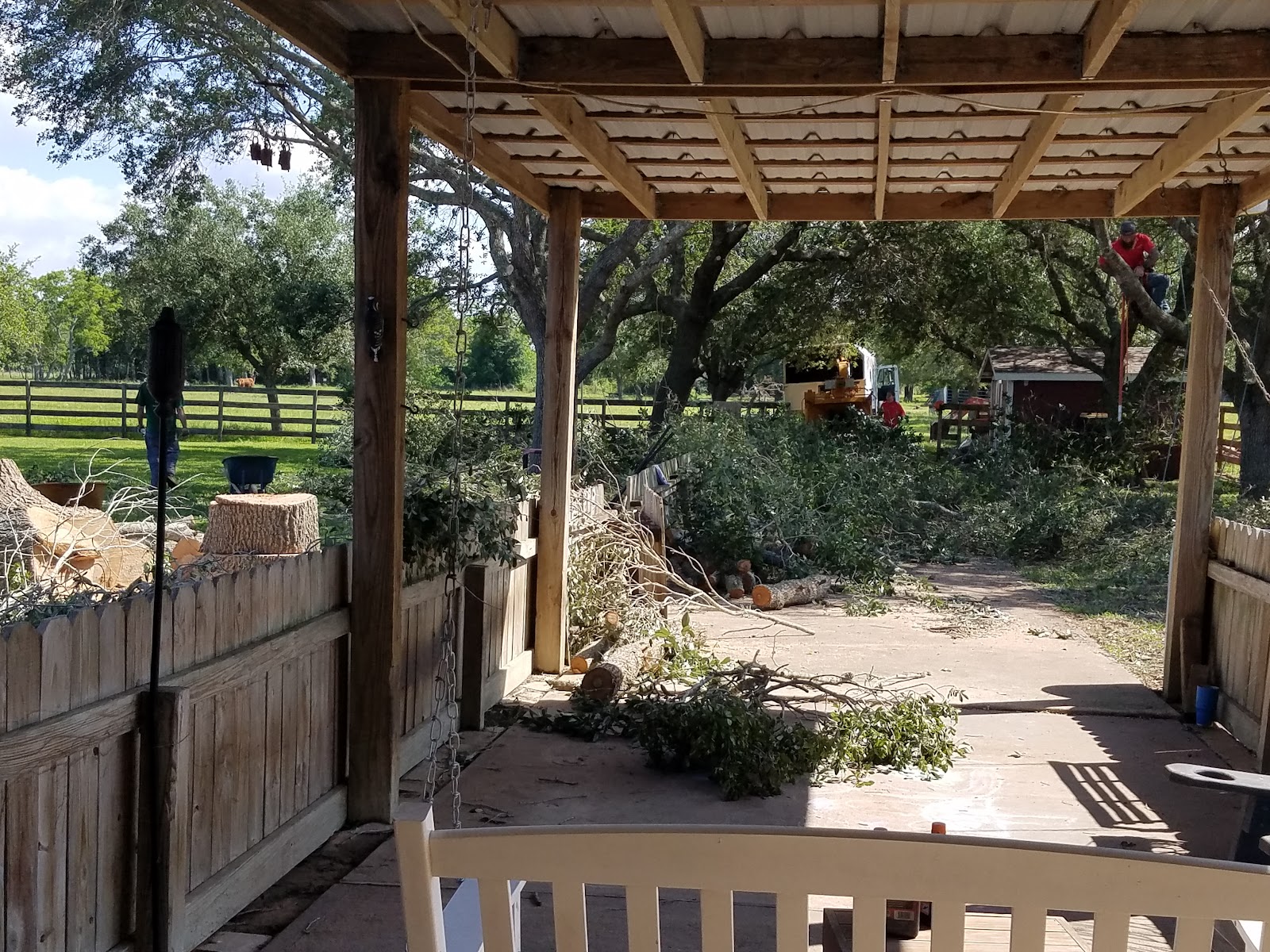 Tree Removal in the Houston Bay Area by Cut 'N Edge Trees
