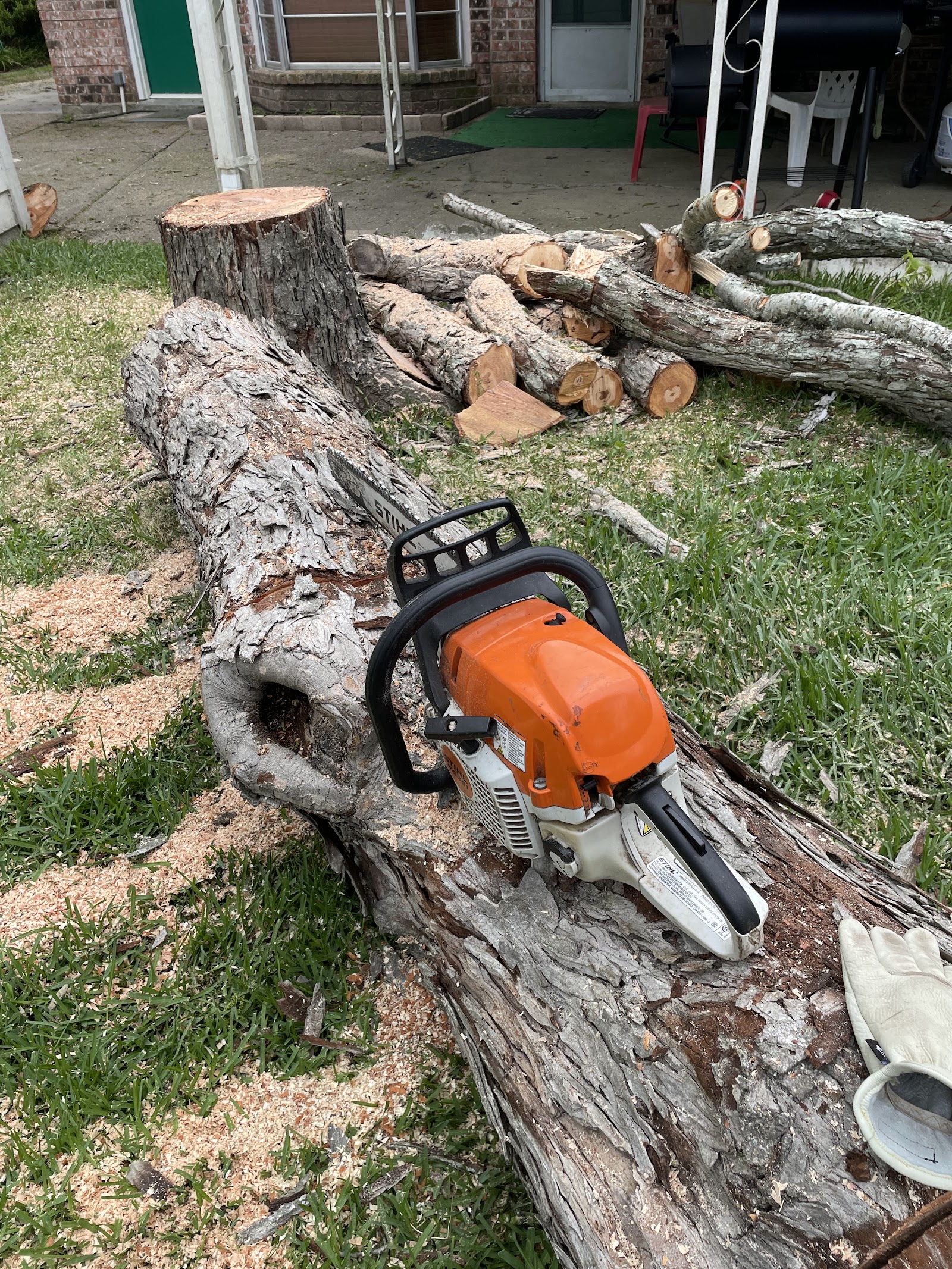 Stump Grinding in the Houston Bay Area by Cut 'N Edge Trees